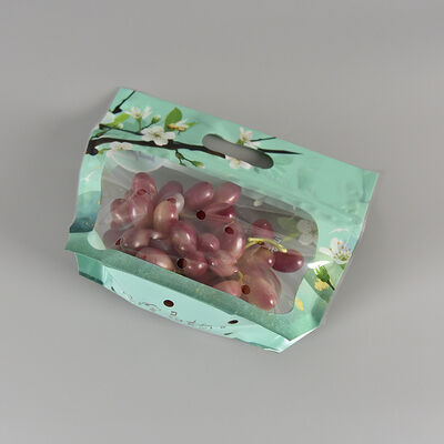 맞춤형 디자인 식품 등급 플라스틱 김서림 방지 파우치 투명 신선 야채 과일 보관 포장 백 지퍼 손잡이