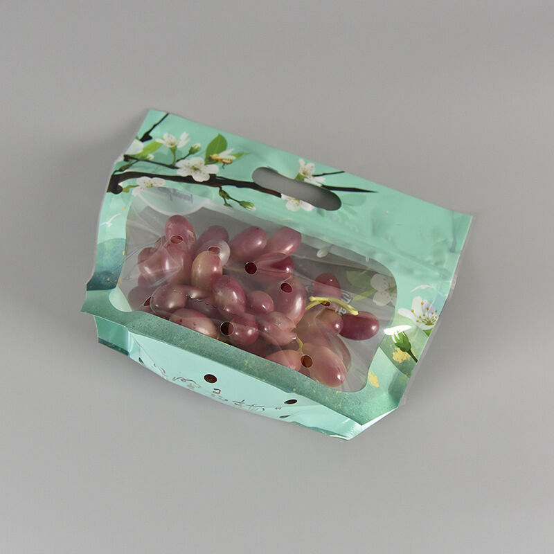 맞춤형 투명 식품 등급 플라스틱 신선 농산물 포장 백 농장 과일 야채 CPP 재밀봉 지퍼백